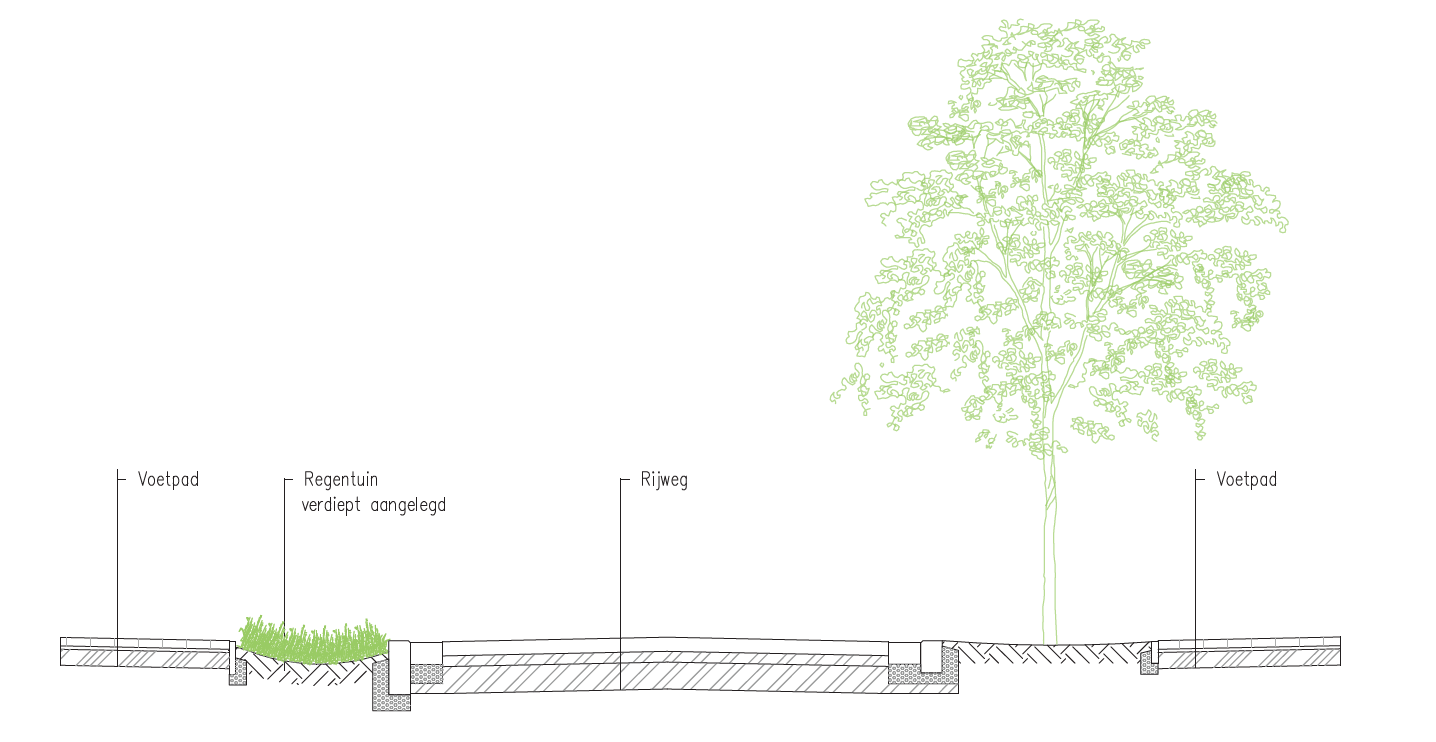 Dwarsdoorsnede van de nieuwe woonstraat Sterrenlaan met links de regentuin en lichte glooiing.